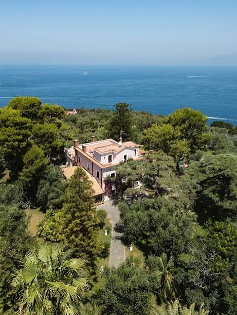 Aerial view of the villa among pine trees above the sea